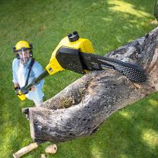 Reliable Bargersville, IN Tree Removal and Landscaping Services Solutions